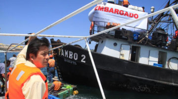 CATEGORÍA DE PATRONES