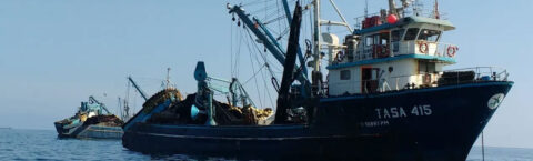 CURSOS CATEGORÍA PATRONES